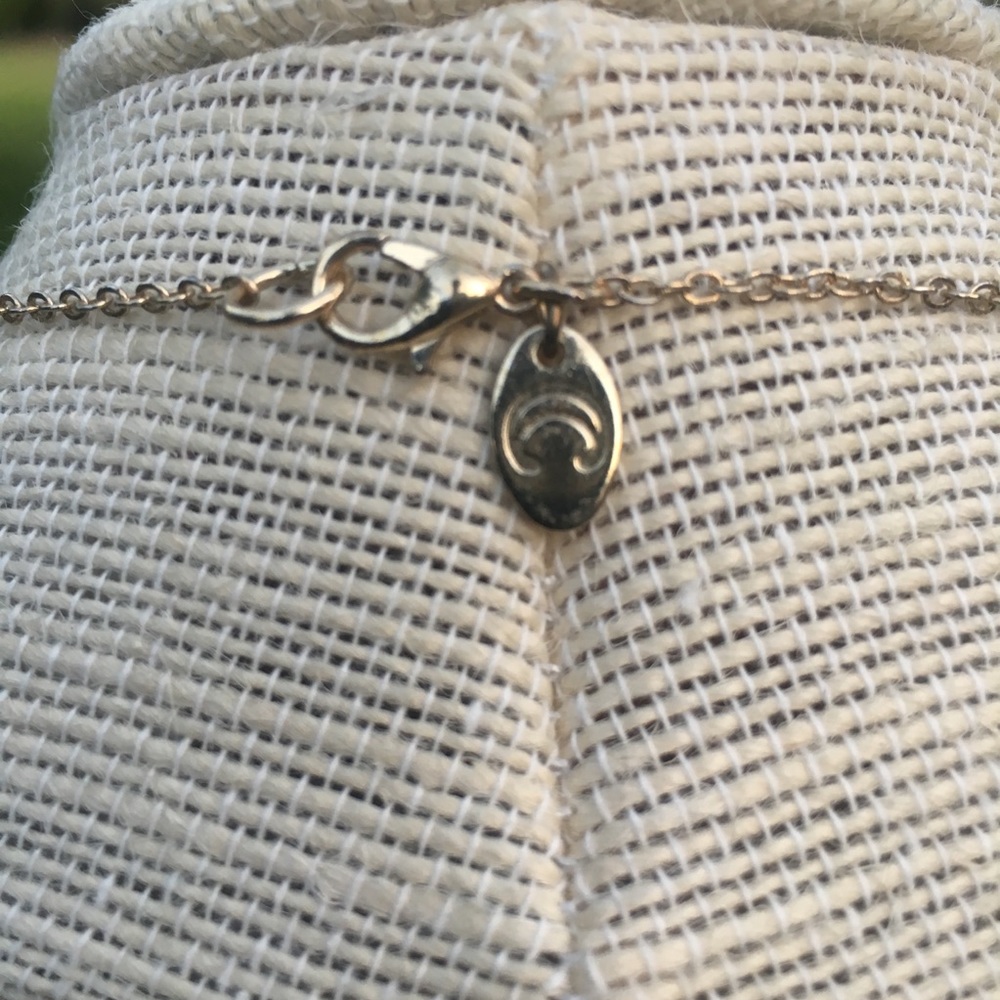 Charming Charlie Necklace - Picture 5 of 5